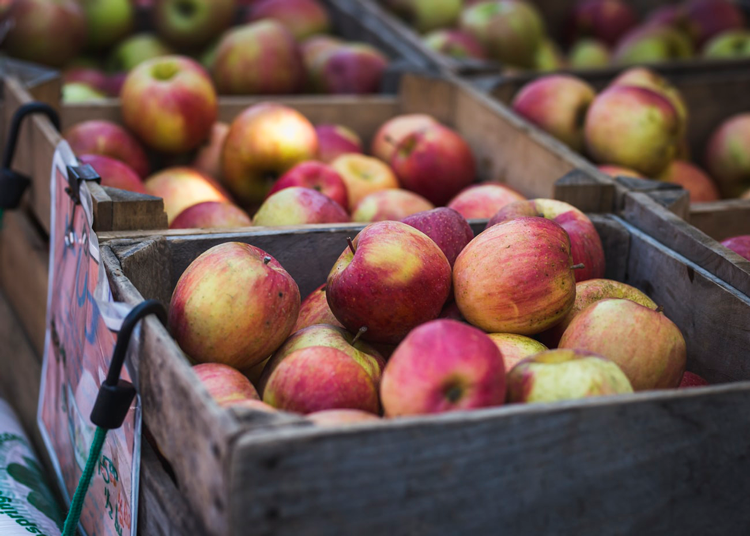 Fall Events in Cleveland Ohio