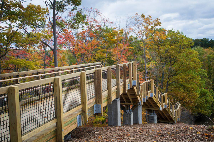 Fall Foliage NE Ohio